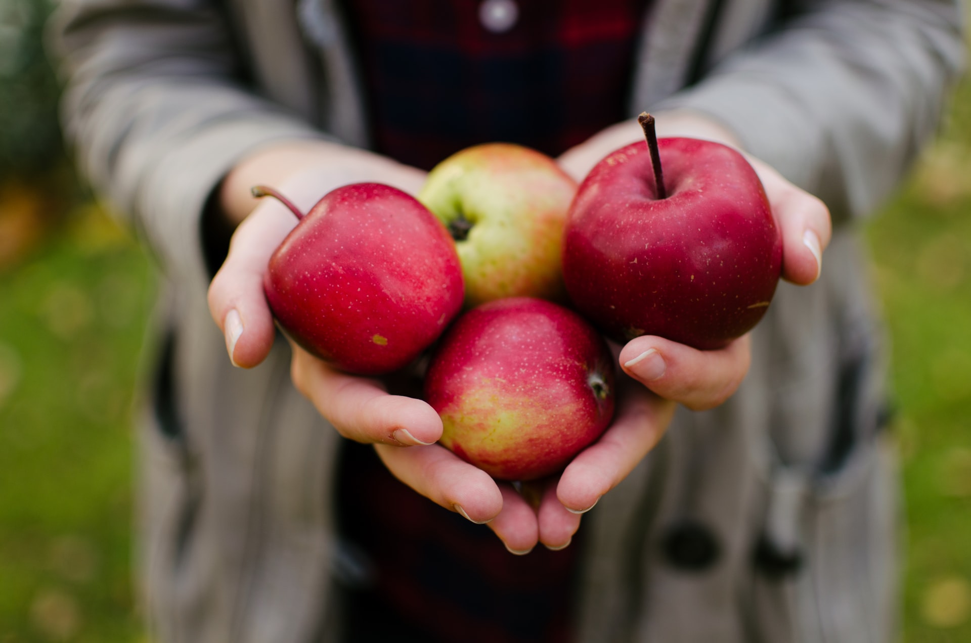 Rechtenvrije foto van iemand met vier appels door Aaron Blanco Tejedor via Unsplash.